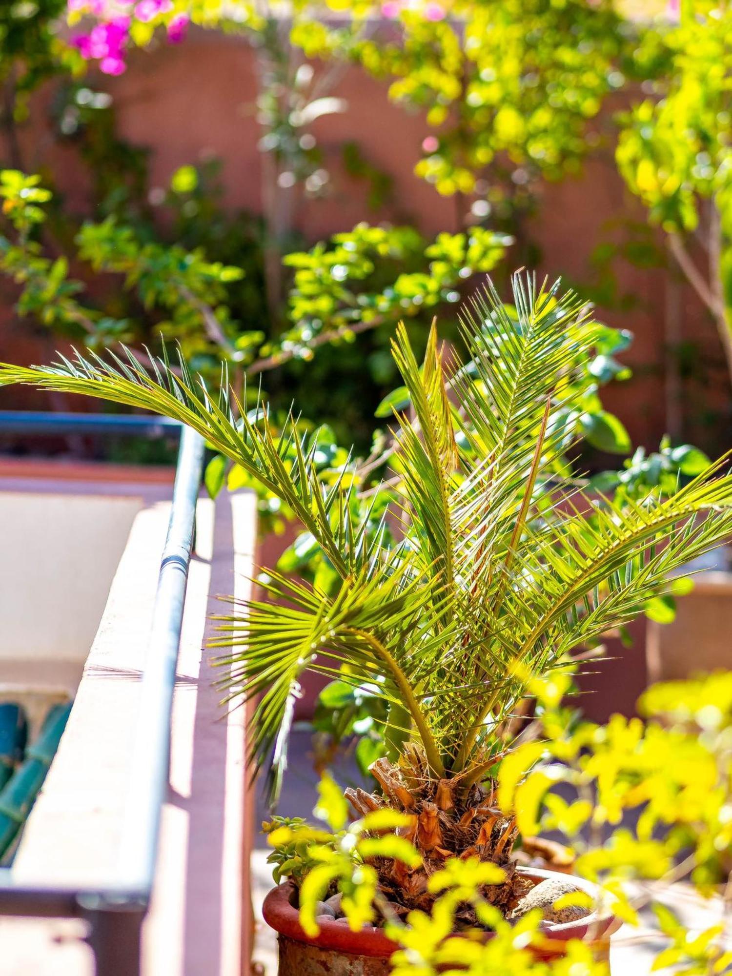 Riad L'Orange Bleue Marakeş Dış mekan fotoğraf